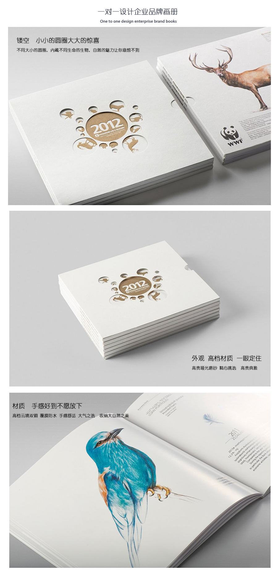 精美生物畫冊、精裝畫冊